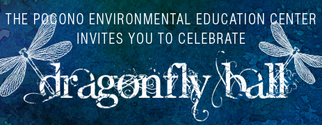 The 2015 Wild Things – Dragonfly Ball was a great success!