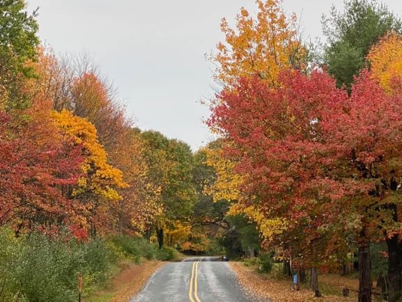 Local Color